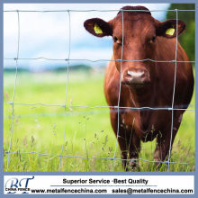 Cheap Livestock Fencing Materials Supplies